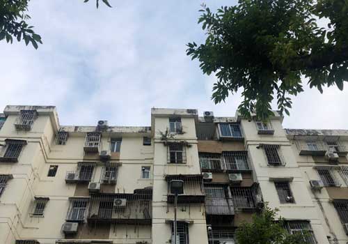 外墙窗台杂草树木导致渗水
