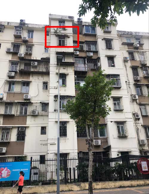 外墙窗台杂草树木导致渗水